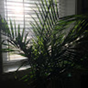 Meet your Posher, Paul